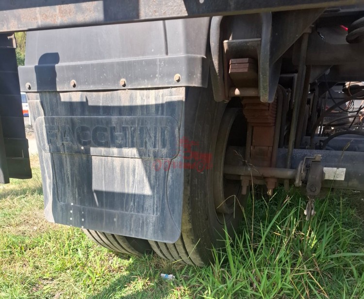 Bug Porta Container Facchini 2021 