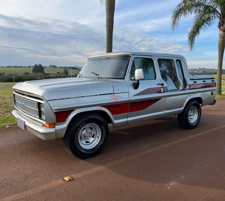Ford F1000 1987 