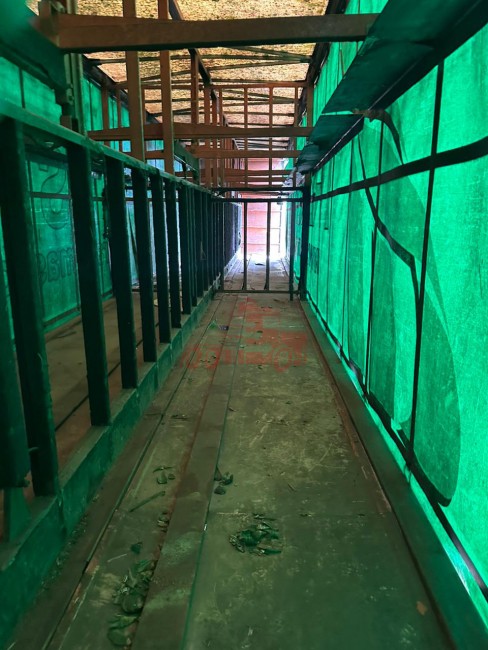 Sider Facchini Asa Delta Vanderleia 2009 