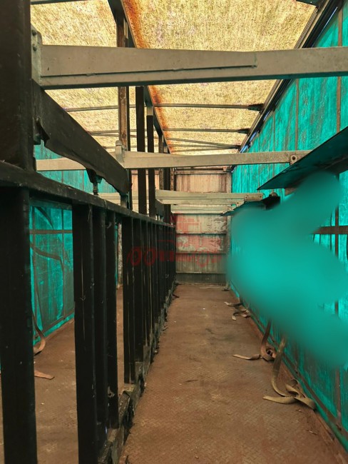 Sider Facchini Asa Delta Vanderleia 2011