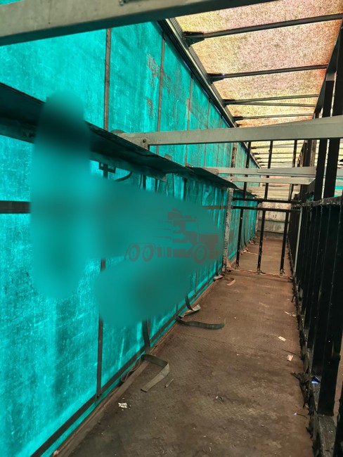 Sider Facchini Asa Delta Vanderleia 2011