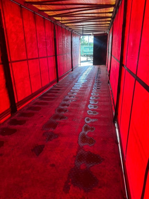 Sider Vanderleia Facchini 2011 30 Paletes 